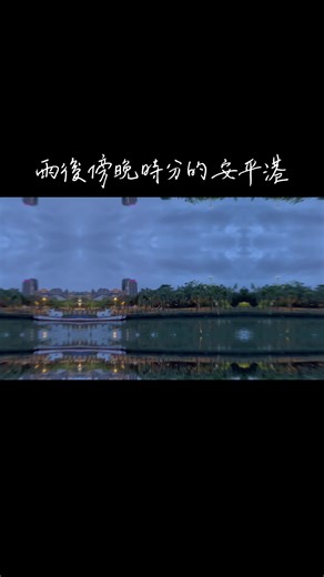 Mango Life Diary on TikTok