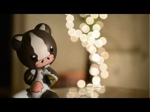 Bokeh Photography tutorial. (Nikon D5100)