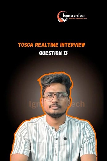 Q13) What is The Current Version of Tosca using in your Project?