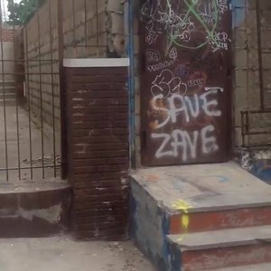 6.6K views · 225 reactions | Frankie Spears #savezave | Alien Workshop | Facebook