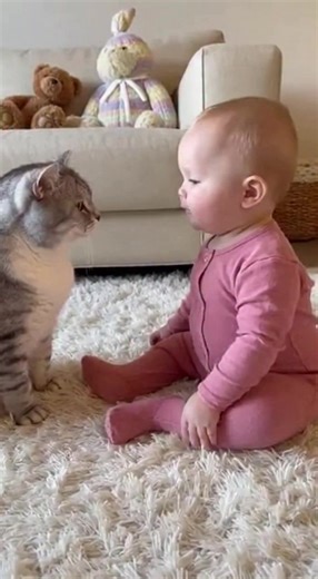 Curious Baby and Cat Face Off A baby and a cat share a moment of pure curiosity and cuteness. #fblifestyle #AI Generated using Kling AI . . . (For entertainment purposes only. Consult professionals if guidance on activities is presented. No brand affiliation is implied if any are shown. If inspired by true events, creative adaptations may be included. Content may include public footage.) | Fabiosa Daily
