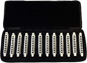 East top Diatonic Blues Harmonica Set of 12, 10 Holes Professional Diatonic Blues Mouth Organ Set, 12 Keys of Professional Blues T008 Harmonicas for Adults