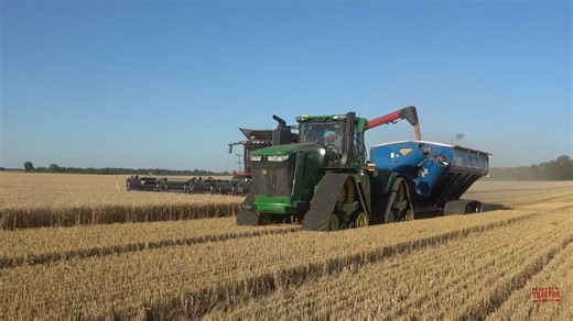 CASE IH 8260 轴流式联合收割机收割小麦 (英文）