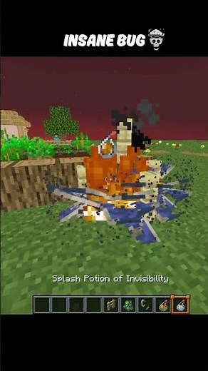 Minecraft Phantom Moment 💀