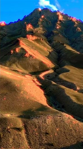 Preserve Biodiversity #shorts #naturedocumentaries #shortfeed #shortviral