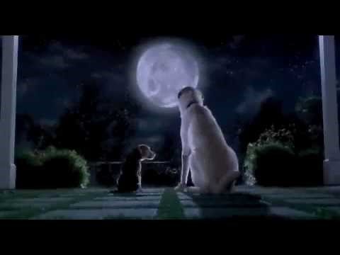 Cats & Dogs (2001) - Teaser Trailer