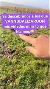 Solo así van a aprender #viralshorts #viral #consejos