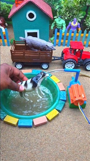 diy mini tractor video mini water pump machine science project #shorts #tractor #youtubeshorts 199