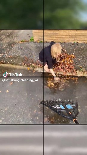 Satisfying Cleaning on TikTok