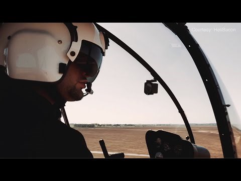 Feral Hog Invasion | Machine Gun Hunting | Denver 7 News