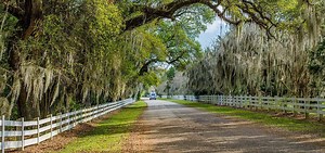 These are the 9 cutest small towns in Louisiana, WorldAtlas says. Why you should visit them
