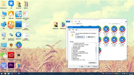 win10系统下文件夹内无法预览视频文件的缩略图？你需要这个系统插件！！在预览视频文件时不必打开视频播放器
