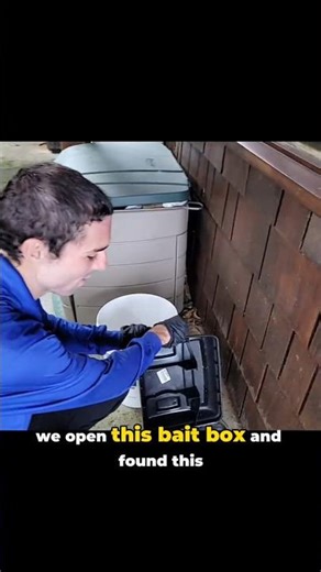 We Opened a Bait Box… and Found THIS 😳🐸