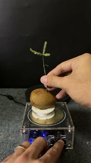 Tesla coil testing #experiment #teslacoil #shorts