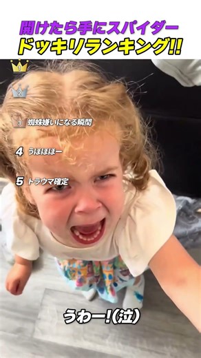 開けたら手にスパイダーが飛び出すドッキリが怖すぎるw