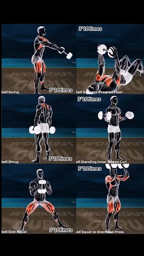 Dumbell exercises for the whole body: | Gym Gurus