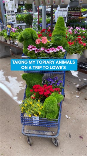 Had to show our topiary animals the full Lowe’s experience 🤩🪴 Find them in-store or online 🛒: https://www.lowes.com/search?searchTerm=natuare decor garden statue | Lowe's Home Improvement