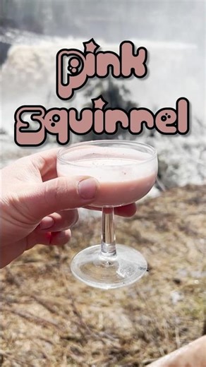 How to make the Pink Squirrel Cocktail!