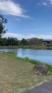 13K views · 489 reactions | Yauco Urban Park Horario: Lunes a...