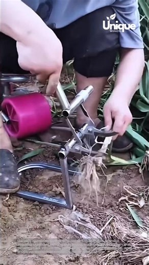 Revolutionary garlic harvester: faster & easier garlic harvest
