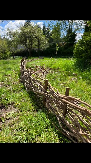 To establish pathways on the homestead, I am making fences with materials found in the yard! Using only branches and ivy, I am lining the pathways, giving the homestead a fairy-garden feel ✨🌸 #homestead #homesteading #homesteadlife #newhomestead #diygarden #fairygarden