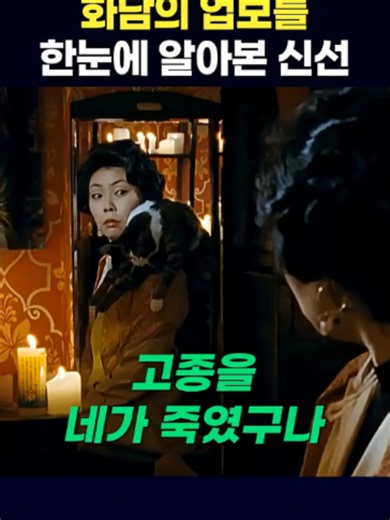 등에 고양이 달고 다니는 화담#shorts