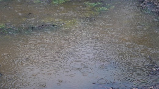 FOX54 weather impact alert day | Jackson County, AL