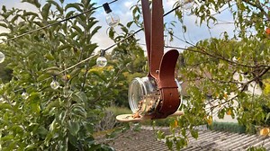 ARD-Buffet: einfach kreativ: Futterstation für Vögel