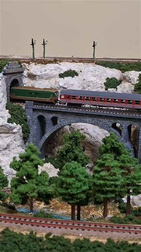 Locomotiva Arnold FS D445 in livrea originaria al traino di carrozze MDVE Fratix.