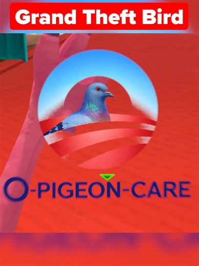 Experience the World as a Bird in VR