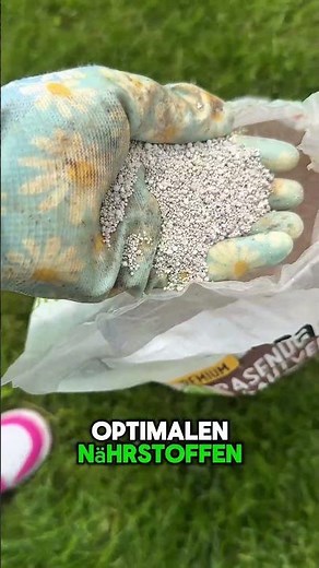 Rasen retten leicht gemacht – der effektivste Unkrautvernichter im Test!