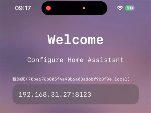 homeassistant : clutter App 登录流程