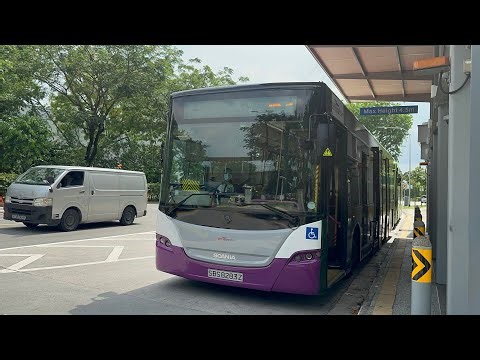 SBST | Ride on Scania K230UB Euro 4 Batch 2 SBS8283Z on svc 163.