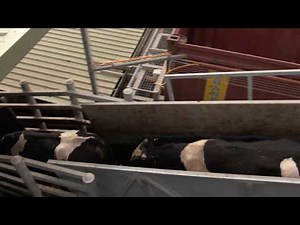 LPA requirement 5- Livestock transaction and treatments