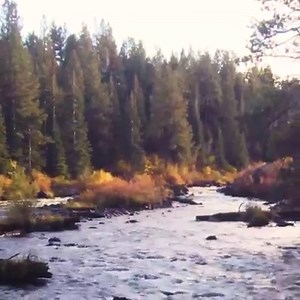 71K reactions · 5.2K shares | Jump into the ultimate outdoor getaway in Oregon | Go USA | Facebook