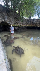 5 comments | Graeme Fletcher on Reels | Facebook