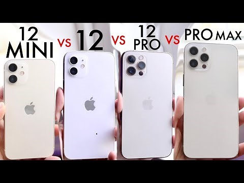 iPhone 12 Mini Vs iPhone 12 Vs iPhone 12 Pro Vs iPhone 12 Pro Max! (Comparison) (Review)