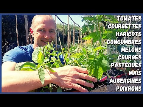 10 légumes à semer ou planter en avril/mai au potager !