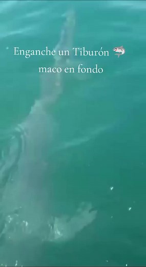 Pescando con Anthony: Una Verdadera Aventura de Mar