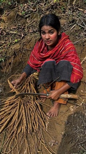 Why Do Bangladeshi Farmers Harvest This Mysterious Root? By Shiksha SQUARE