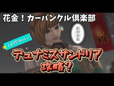 FF11 ヌコの日常 in Carbuncle ～【旧デュナミス4国クリアする】LV75PTでいく！【なめぷで阿鼻叫喚？】～