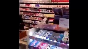 15 reactions | A pitbull or pit bull can be very funny and cute. Check out these pitbull puppies and dogs in this funny pitbull and cute pitbull videos compilation. Thanks for watching! {Get|Buy} custom high quality Pitbull {tshirt|shirt|tee} at an affordable price. Limited 20% {discount price|coupon code}. Use PITBULL20 to {Order|Shop} now! | Pitbull Dog Pics | Facebook