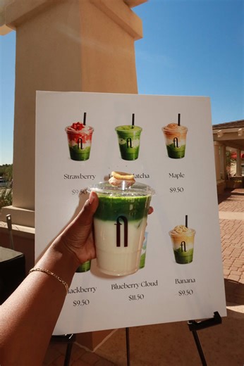 Understanding the Human Digestive Process