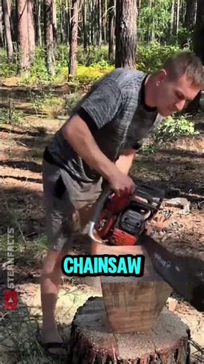 Turning a Living Tree Stump Into a Wooden Stool