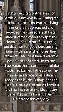 Eucharistic Miracles Saint Carlo Acutis