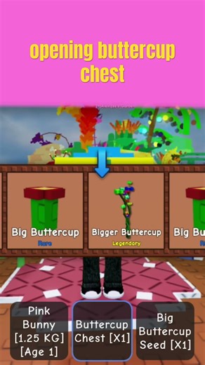 opening buttercup chest #roblox