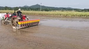 A New Type of Rice Direct Seeding Machine with 12 Rows in Paddy Field