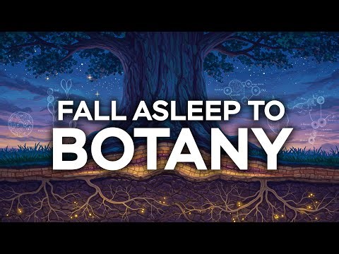 Botany Fundamentals to Fall Asleep To