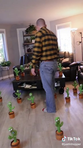This TikTok cost me $700🥲 pt.3 #ohno #cactus #prankwars #sorrydad #oops