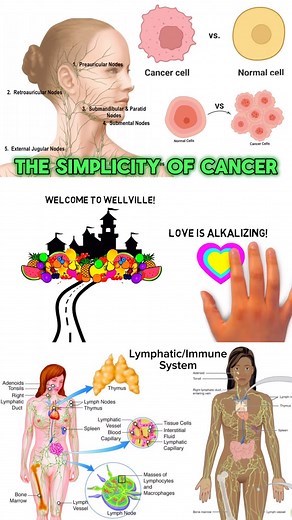26K views · 36 reactions | The word “CANCER”’is just another name...
